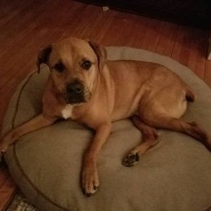 Meet your Posher, Claudette desmarais